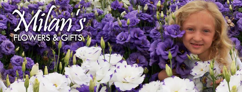 Beautiful Seasonal Flowers Banner